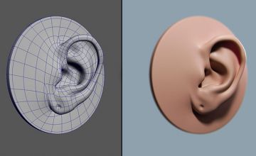 3D Моделирование человеческого уха