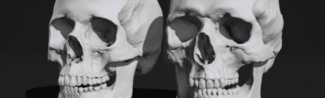 Бесплатное приложение с анатомическими 3d референсами черепа для художников Skull Sketcher от Ten24