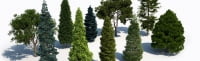 Набор моделей деревьев — Laubwerk Plants Kit 5
