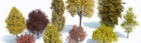 Новая коллекция моделей 3d деревьев — Laubwerk Plants Kit 6