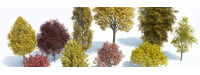 Новая коллекция моделей 3d деревьев — Laubwerk Plants Kit 6